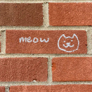 Meet your Posher, Adam